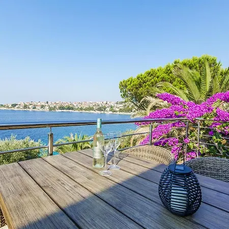 House Mavi * تروغير